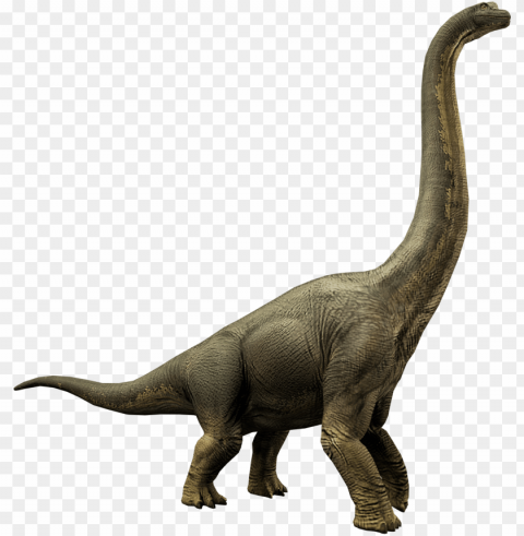 brachiosaurus jurassic world alive wiki fandom powered - lesothosaurus Transparent PNG Illustration with Isolation