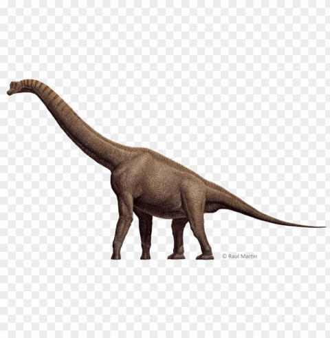 brachiosaurus free download - imagem de dinossauro braquiossauro PNG files with clear backdrop assortment
