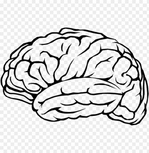 brain outline black and white library - brain High-quality PNG images with transparency