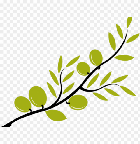 branch clipart olive branch - olive clipart Clear Background PNG Isolation