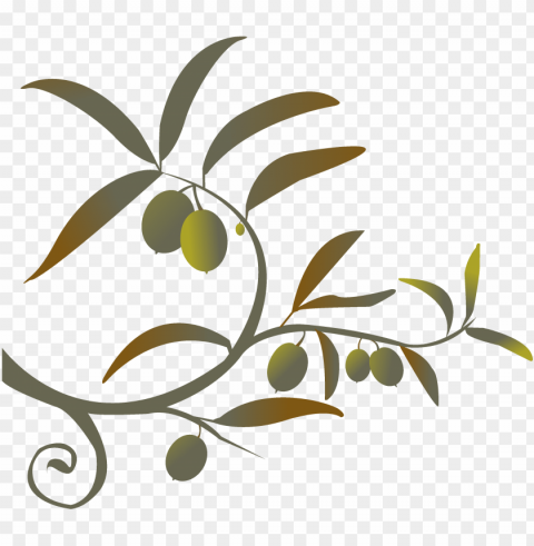 branch siren song of the counter - olive branch free clip art Transparent picture PNG