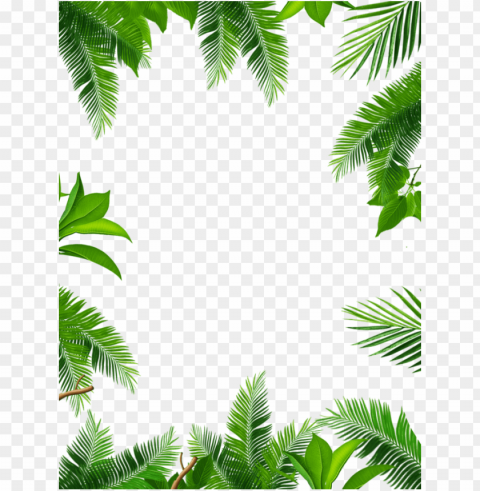 branches and leaves painti HighResolution Transparent PNG Isolated Element