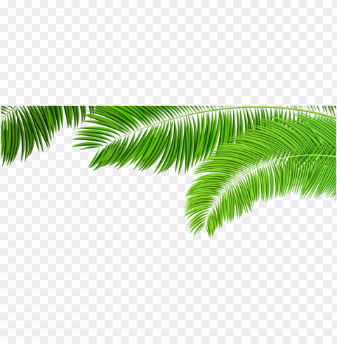 branches decoration clip art - clip art palm tree leaves PNG transparent vectors