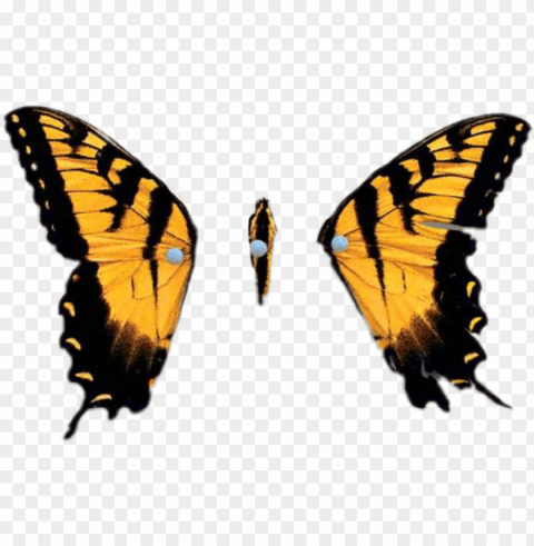brand new eyes cd Transparent background PNG stockpile assortment PNG transparent with Clear Background ID ceede273