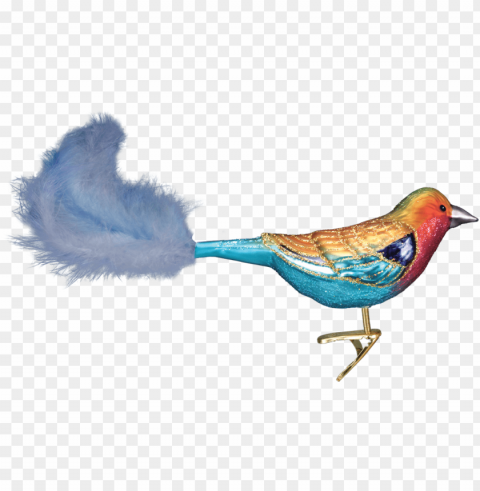 breasted roller glass blown PNG file without watermark