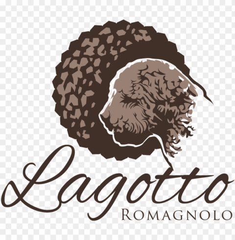 breeder of the lagotto romagnolo the italian truffle - coloring for adults ladies a coloring book PNG transparent graphics comprehensive assortment