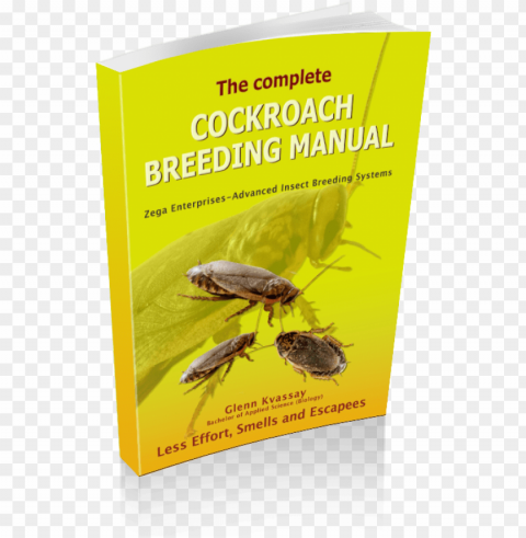 breeding cockroaches with less effort smells and escapees - complete cockroach breeding manual by mr glenn kvassay PNG design PNG transparent with Clear Background ID 01792344