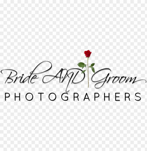 brideandgroom - happy birthday Transparent PNG Isolated Object with Detail PNG transparent with Clear Background ID b6e35c95