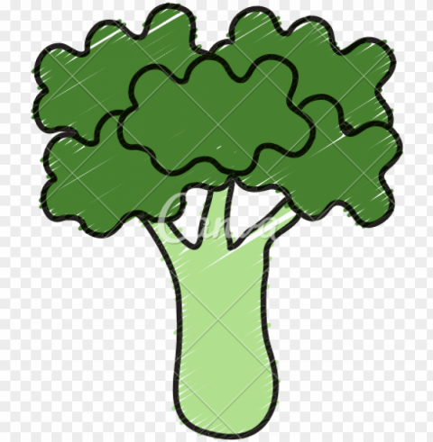 broccoli fresh vegetable icon icons by canva - vegetable PNG images with alpha transparency selection