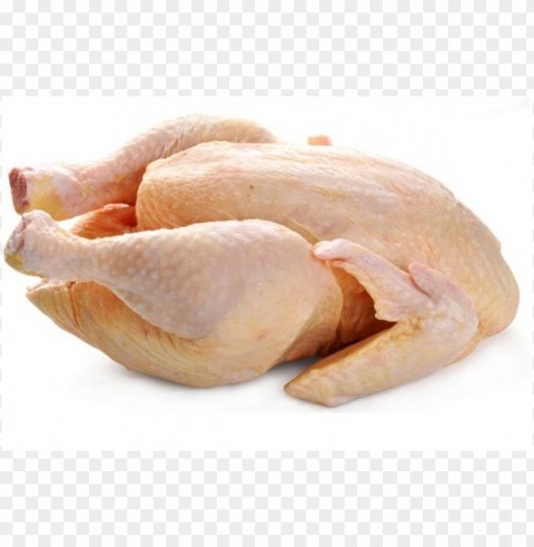 broiler chicken meat HD transparent PNG