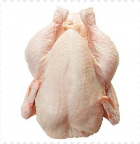 broiler chicken meat High Resolution PNG Isolated Illustration