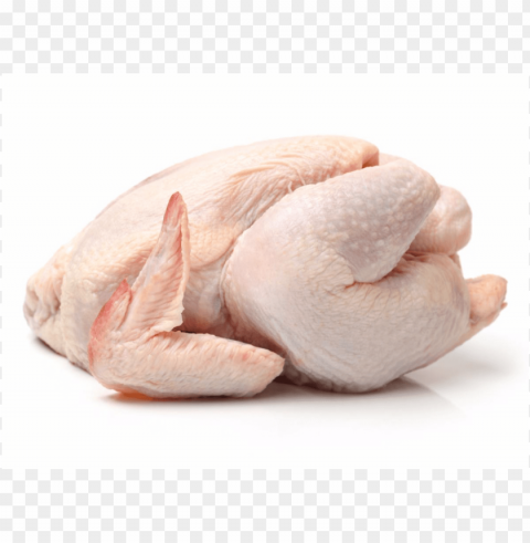 broiler chicken meat High-resolution PNG images with transparency
