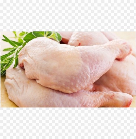 broiler chicken meat PNG high quality
