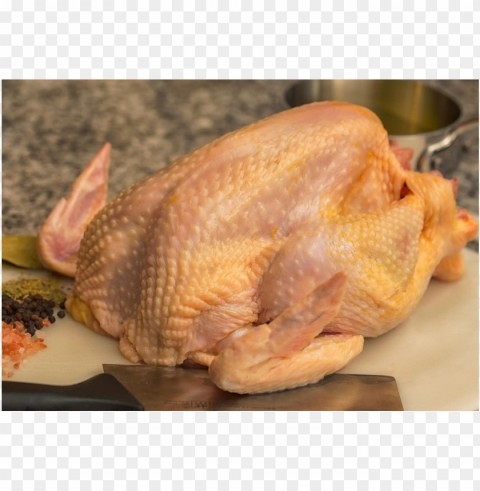 broiler chicken meat PNG Image Isolated with High Clarity