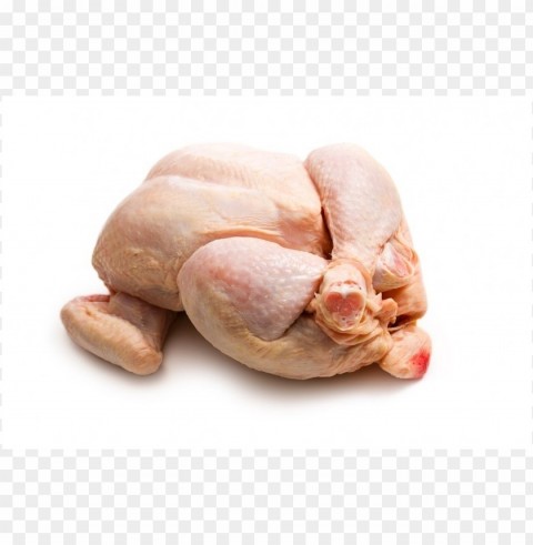 broiler chicken meat Isolated Element on HighQuality PNG