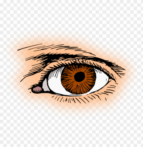 Brown Eye Isolated Item On Transparent PNG Format