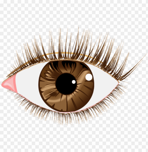 brown eyes transparent PNG Isolated Design Element with Clarity