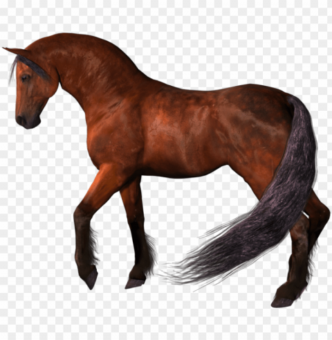 brown horse - horse PNG Image Isolated with High Clarity