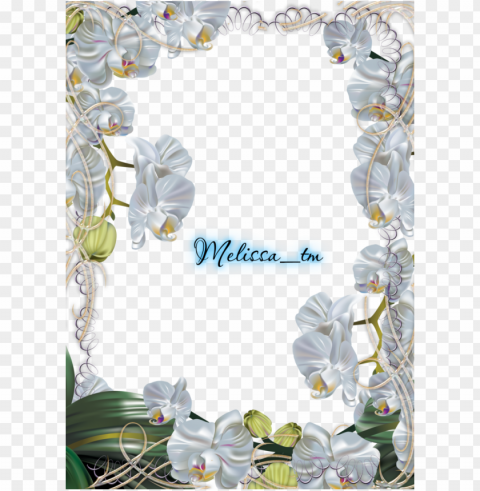 browsing manga anime on deviantart - frame flowers orchid white PNG for educational use