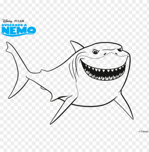 bruce nemo coloring book drawing shark - tiburon buscando a nemo dibujo PNG images for websites