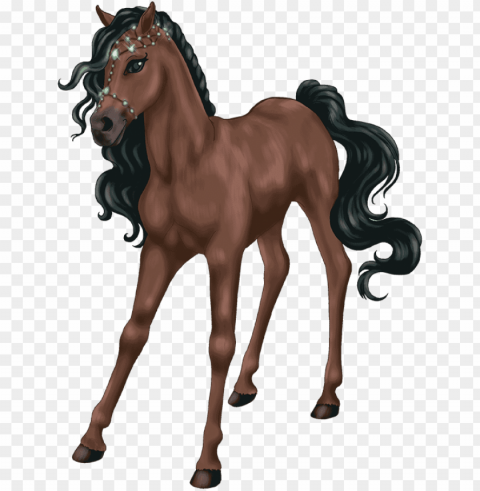 bs ab fp foal jewell20130802 2538 1c03gsz 0 - bella sara legendary horse Transparent PNG images bundle PNG transparent with Clear Background ID 4959159c