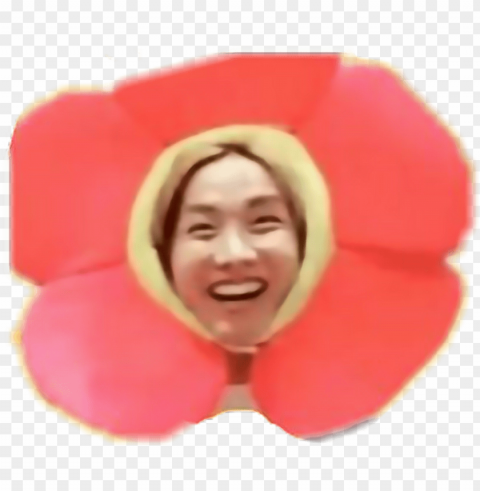 bts sticker - jung hoseok sunflower PNG for Photoshop