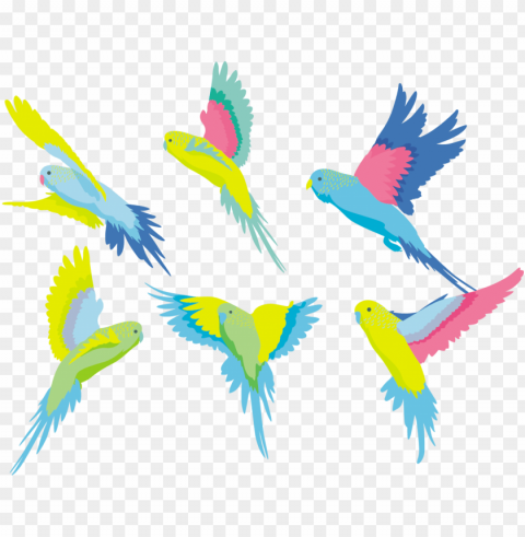 budgerigar parakeet clip art colored - budgerigar Clear Background PNG Isolated Subject PNG transparent with Clear Background ID be0733ca