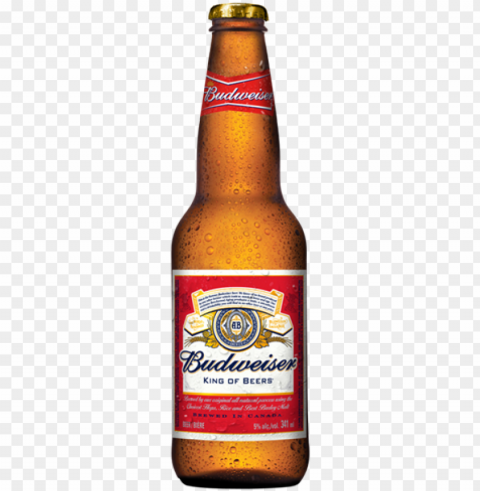 budweiser bottle - budweiser beer bottle Free download PNG with alpha channel PNG transparent with Clear Background ID 3ede3063