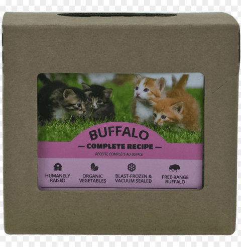 buffalo complete for cats - chinchilla PNG for design