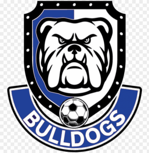 Bulldog - Bull Dog Faces Drawi PNG With No Background Required