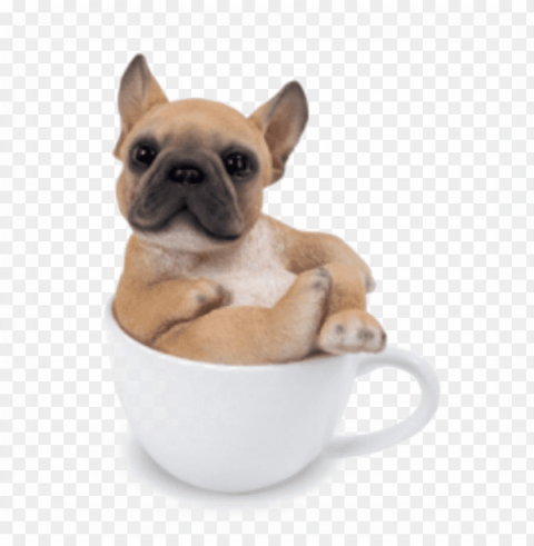 bulldog pic - dog in teacup Isolated Subject in Clear Transparent PNG