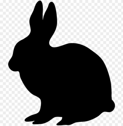 Bunny PNG Images With Transparent Canvas Assortment