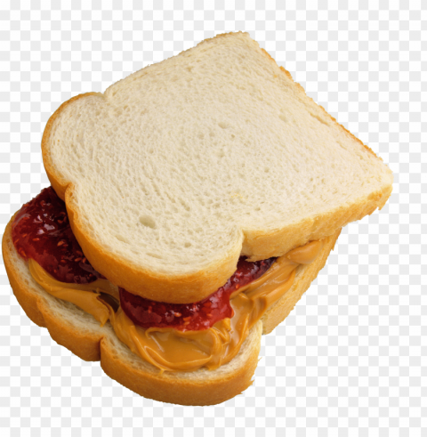 Burger And Sandwich Food No Background PNG Transparent Photos Vast Variety