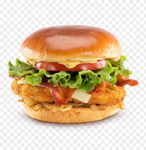 burger and sandwich food download PNG transparent images extensive collection