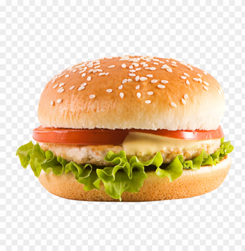 burger and sandwich food file Transparent background PNG images complete pack