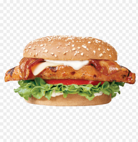 burger and sandwich food PNG with no background for free