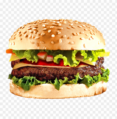 burger and sandwich food hd PNG transparent photos massive collection