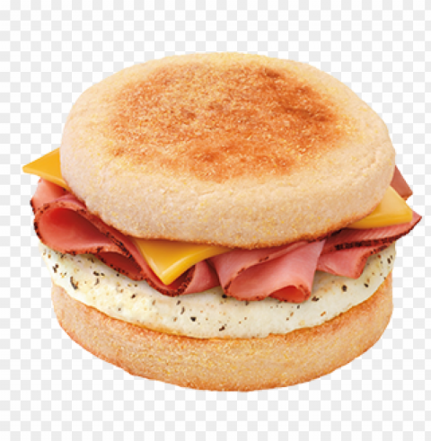 burger and sandwich food image PNG transparent vectors
