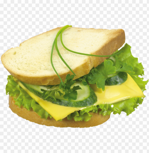 burger and sandwich food PNG transparent graphics for download