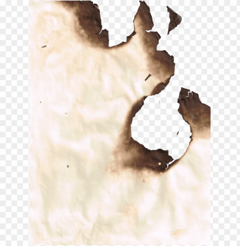 burnt - still life photography PNG files with transparent elements wide collection PNG transparent with Clear Background ID e2e8ee31