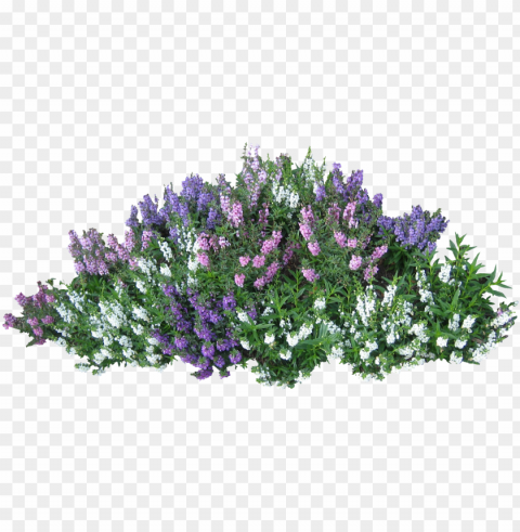 bushes image - flower bed PNG images with transparent canvas compilation