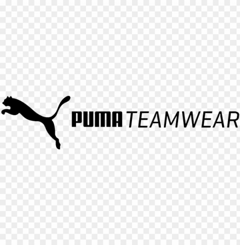 business development manager puma teamwear - parallel PNG for free purposes PNG transparent with Clear Background ID bb6253ec