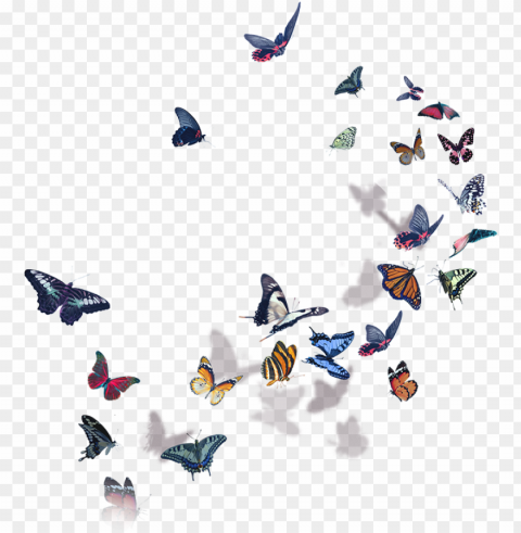 butterflies halsey - halsey world tour 2018 PNG graphics with clear alpha channel collection PNG transparent with Clear Background ID a0d88c2d