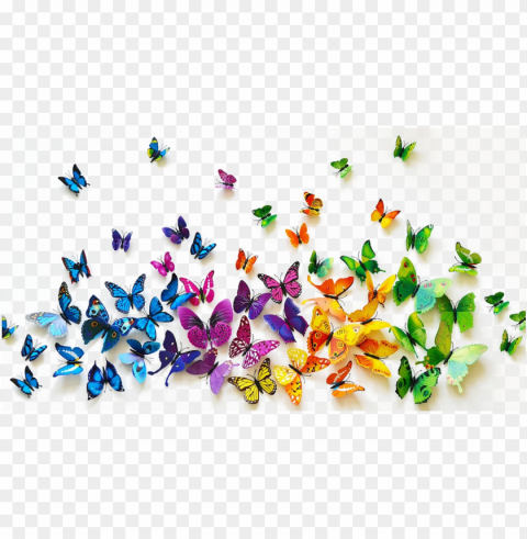 butterflies background image - background butterflies Isolated Item on Transparent PNG Format