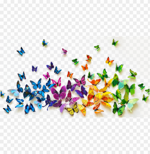 butterflies background image - background butterflies Isolated Item on Transparent PNG Format PNG transparent with Clear Background ID c9fc07d2