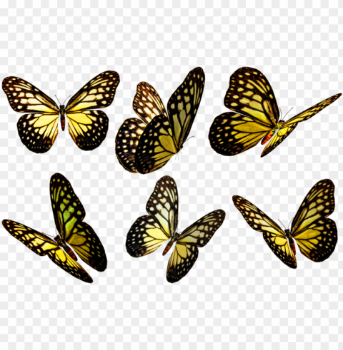 butterflies - yellow butterfly flying PNG file with no watermark