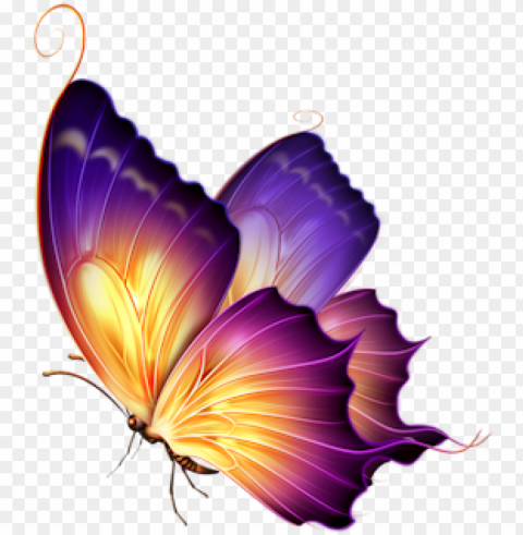 butterfly - colour butterfly HighQuality Transparent PNG Isolated Object