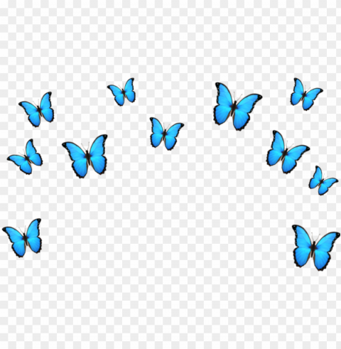 #butterfly #emoji #blue #crown #tumblr #cute - papilio Transparent PNG graphics complete collection