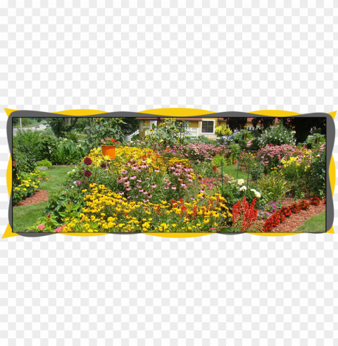 Butterfly Gardeni PNG Image With Isolated Subject