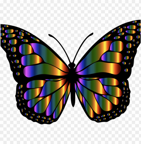 butterfly insects Isolated Artwork in Transparent PNG